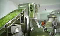 Processing equipment