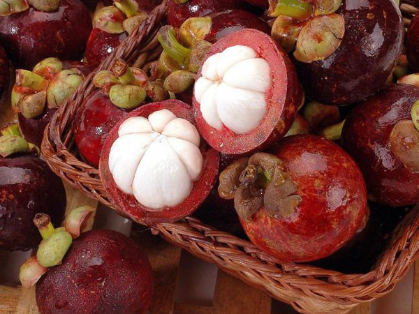 Mangosteen